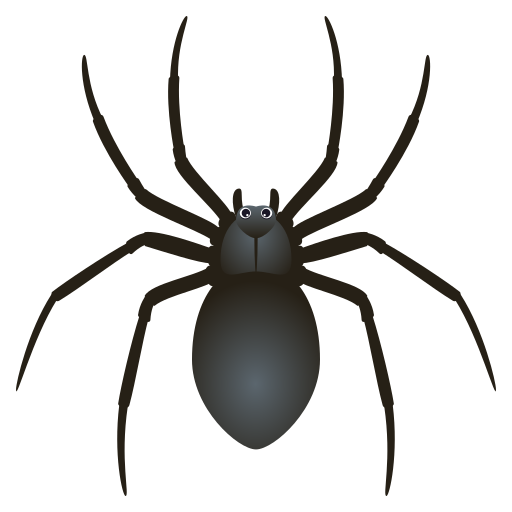 Spinne