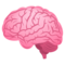 Cervello