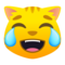 Gatto Con Lacrime Di Gioia