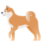 Cane