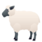 Pecora