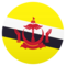 Bandiera: Brunei