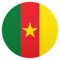 Bandiera: Camerun
