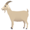 Capra