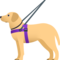 Cane Guida