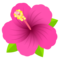 Ibisco