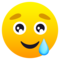 Faccina Sorridente Con Lacrima