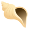 Conchiglia