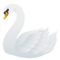Cigno