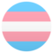 Bandiera Transgender