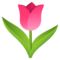 Tulipano