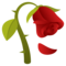 Fiore Appassito