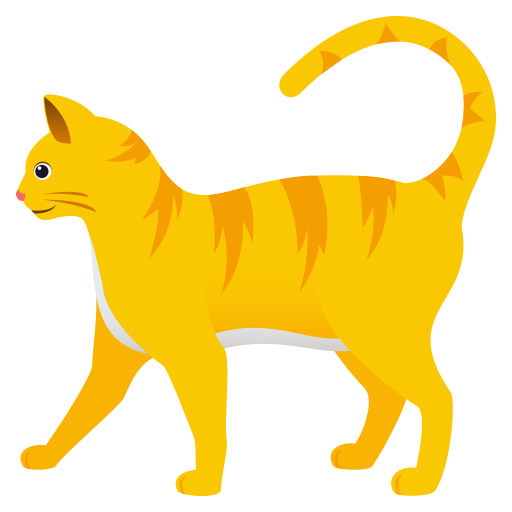 Kot