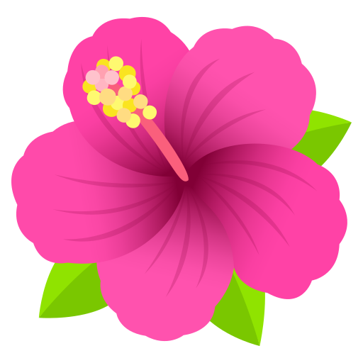 Kwiat hibiskusa