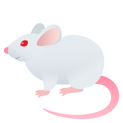 Mysz