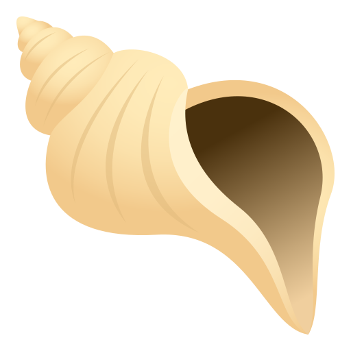 Muszla spiralna
