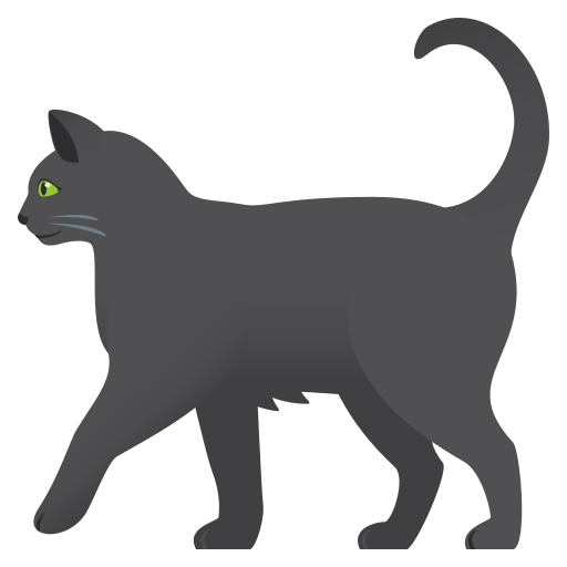 Schwarze Katze