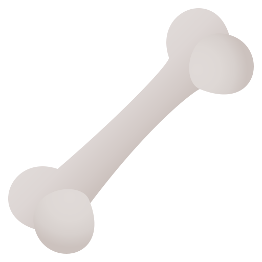 Knochen