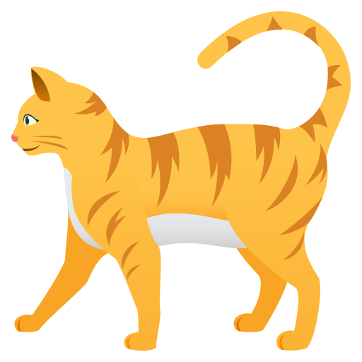 Katze