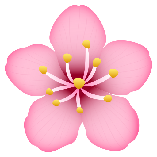 Kirschblüte