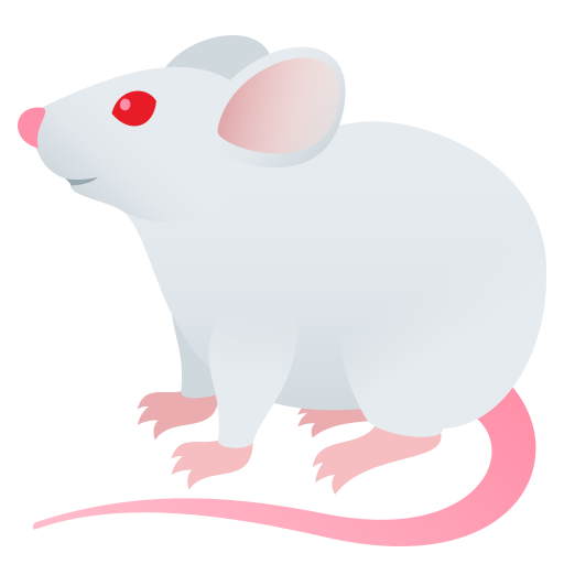 Maus