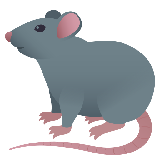 Ratte