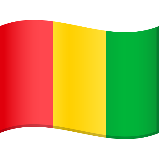 Флаг: Гвинея для JoyPixels 9.0