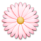 Flor