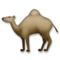 Dromedario