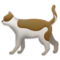 Gato