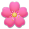 Flor De Cerezo