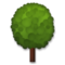 Árbol De Hoja Caduca