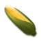 Espiga De Maíz
