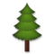 Árbol De Hoja Perenne