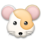 Hámster