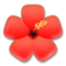 Flor De Hibisco