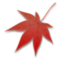 Hoja De Arce