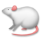 Ratón