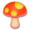 Seta