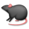 Rata