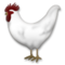 Gallo