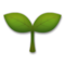 Planta Joven
