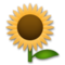 Girasol