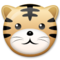 Cara De Tigre