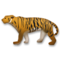 Tigre