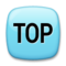 Flecha Top