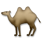 Camello