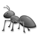 Hormiga