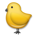 Pollito