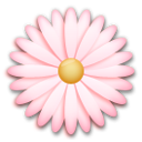 Flor